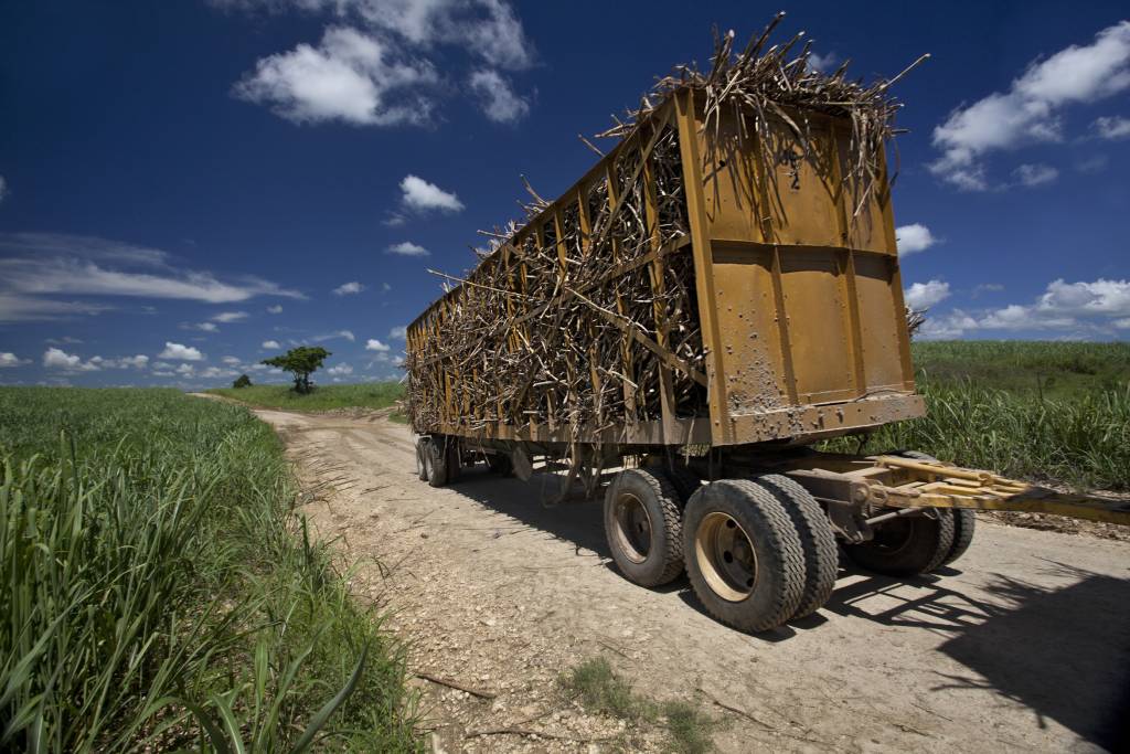 Sugar cane transport